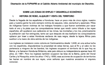 Disertación de la FUPNAPIB en el Cabildo Abierto Ambiental del municipio de Olanchito