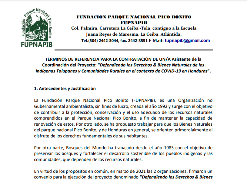 Términos de Referencia para la contratación de un/a Asistente de la Coordinación del Proyecto: “Defendiendo los Derechos & Bienes Naturales de los Indígenas Tolupanes y Comunidades Rurales en el contexto de COVID-19 en Honduras”.