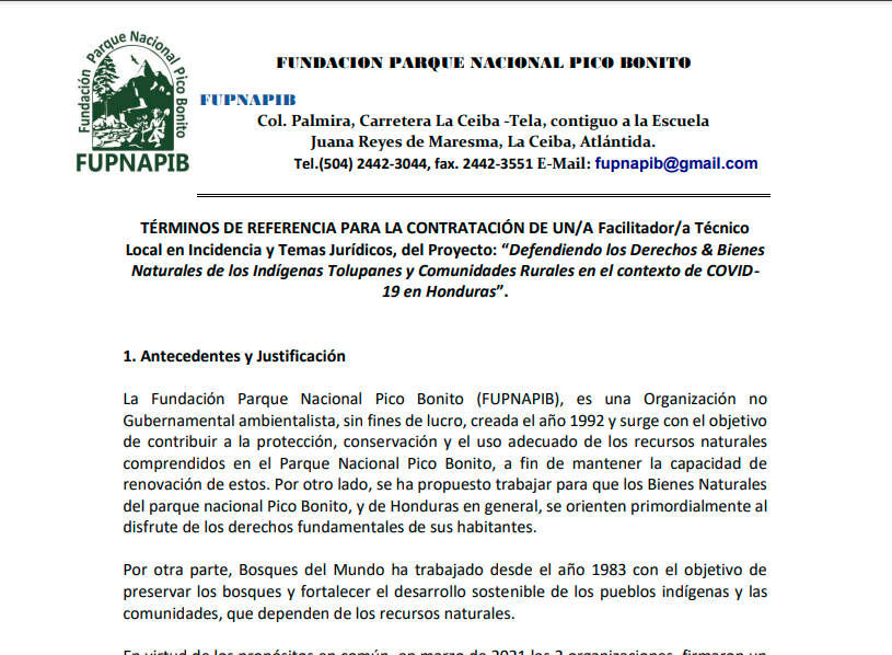 Términos de Referencia para la contratación de un/a Especialista local de Comunicación y Divulgación del Proyecto: “Defendiendo los Derechos & Bienes Naturales de los Indígenas Tolupanes y Comunidades Rurales en el contexto de COVID19 en Honduras”.